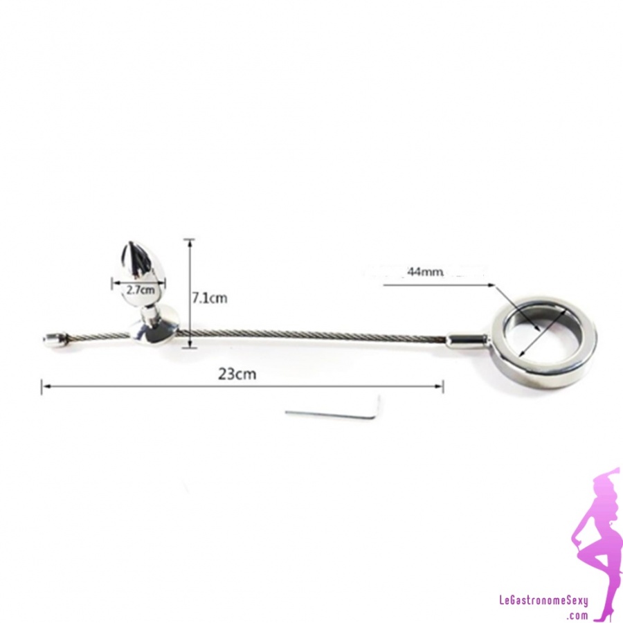 39.91€ - Plug anal avec anneau pénien cockring