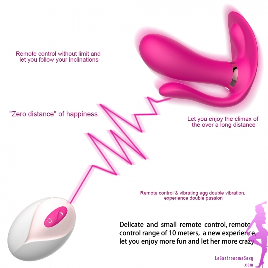 Vibromasseur Feminin Clitoridien - Stimulateur de clitoris et point G  télécomman